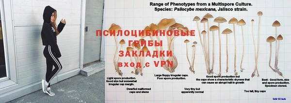 MDMA Армянск