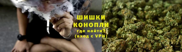 ГАЛЛЮЦИНОГЕННЫЕ ГРИБЫ Баксан