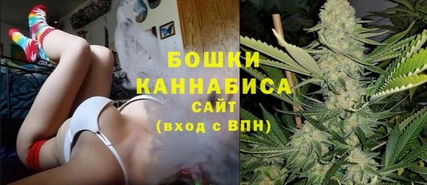 молекула духа Аркадак