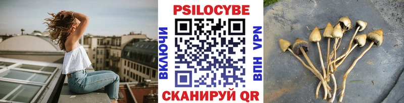 Галлюциногенные грибы Psilocybe  Колпашево 