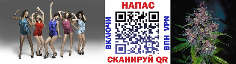 закладка  Колпашево  Бошки Шишки White Widow 